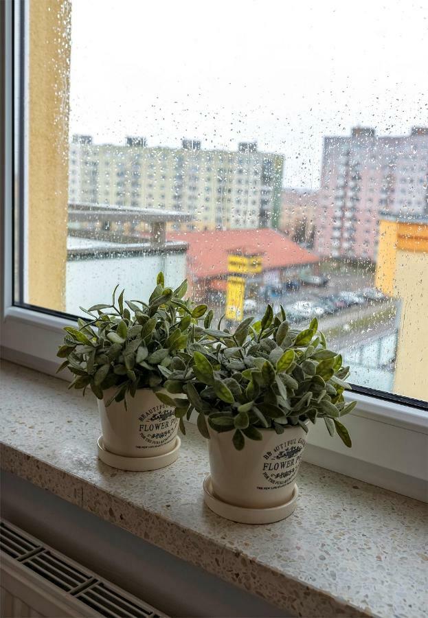 Top Floor Apartment Гожув-Велькопольски Экстерьер фото
